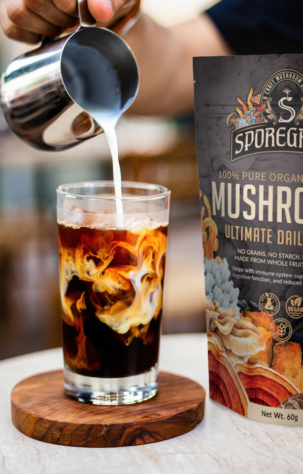 Functional Mushrooms for Daily Wellness, Focus, and Immunity