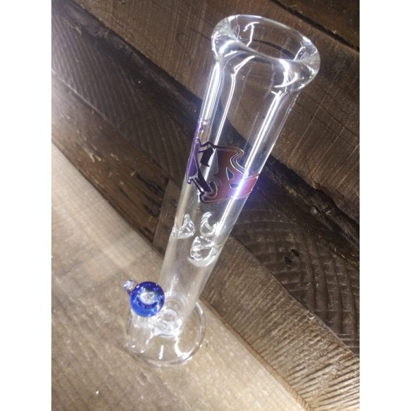 GLASS | GLASSEX | $100 - CHARLOTTE CBD