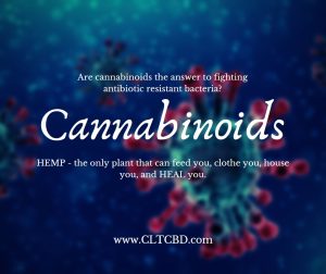 cannabinoids graphic