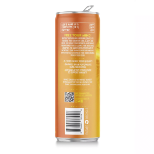 ODYSSEY MUSHROOM ELIXIR | SPARKLING | ENERGY + FOCUS | ORANGE GINGER - Crowntown Cannabis
