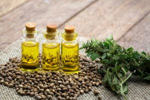 cbd oil in little bottles with seeds and plant
