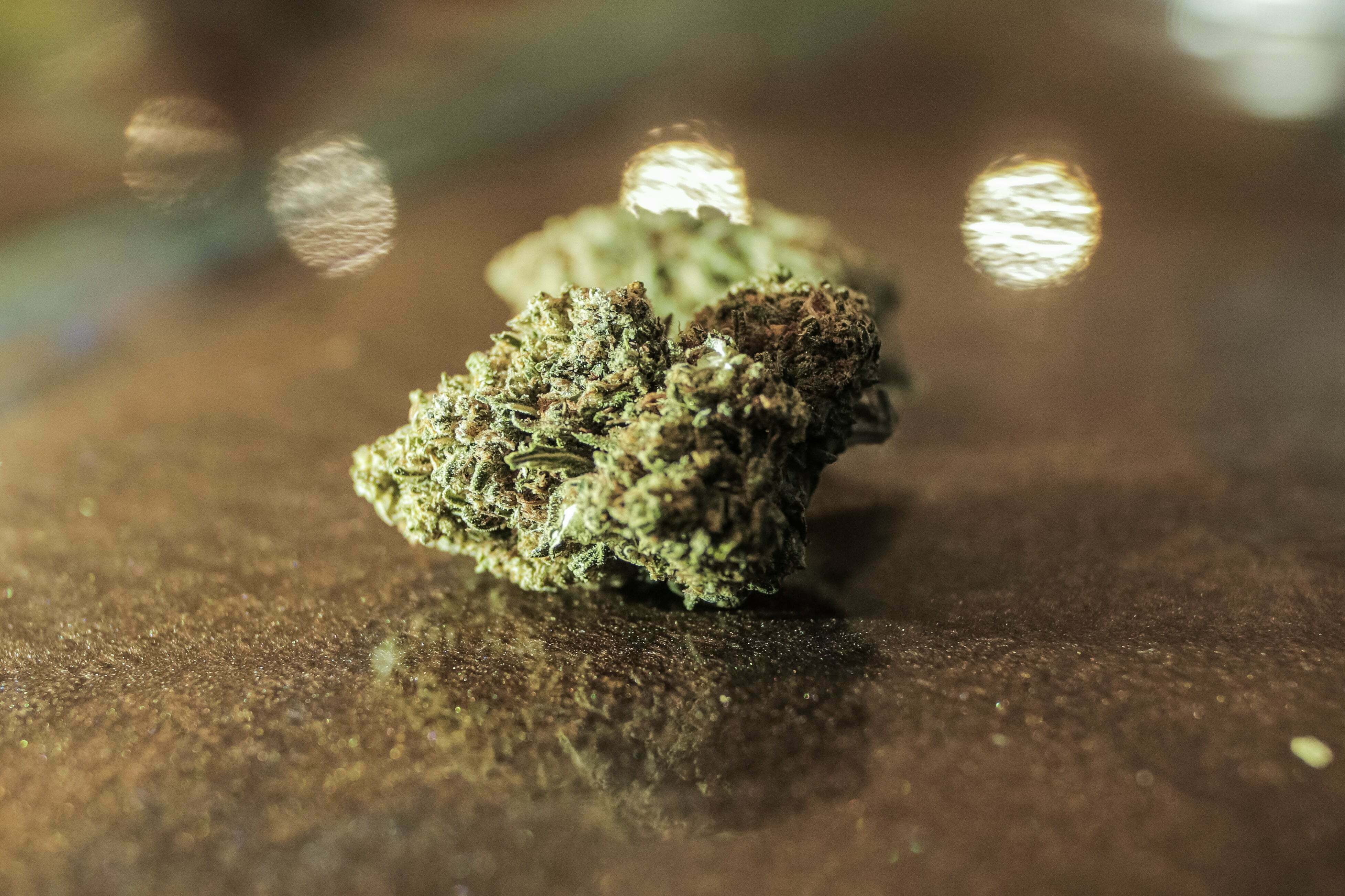 The Ultimate Guide to CBD Hemp Flower Crowntown Cannabis