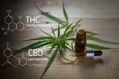 cbd vs thc