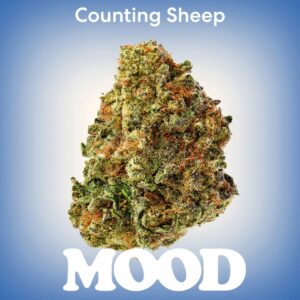 Mood Counting Sheep