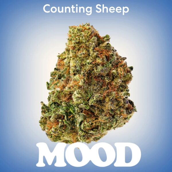 Mood Counting Sheep