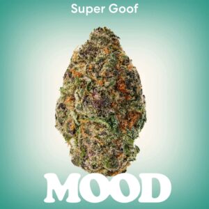 MOOD Super Goof