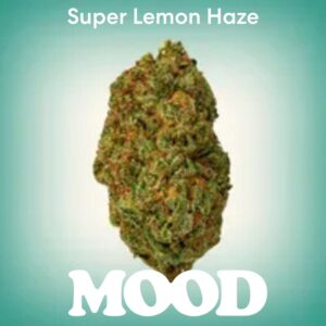 MOOD Super Lemon Haze
