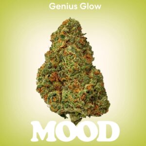 MOOD Genius Glow