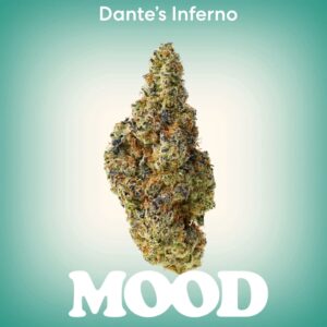MOOD Dante's Inferno