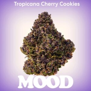 MOOD Tropicana Cherry Cookies