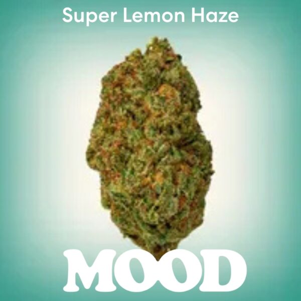 MOOD Super Lemon Haze