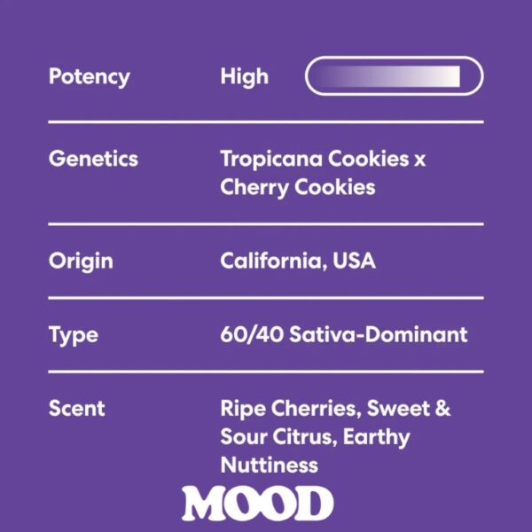 Mood | Premium THCa Flower | Tropicana Cherry Cookies 1/8 oz. (3.5g) - Image 3