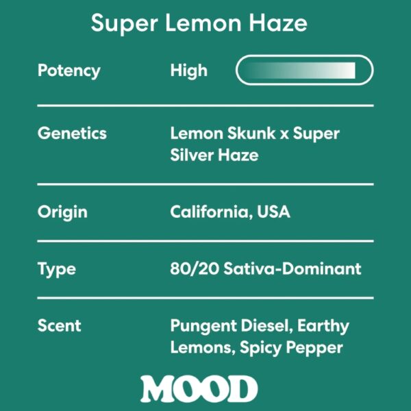 Mood | Premium THCa Flower | Super Lemon Haze  1/8 oz. (3.5g) - Image 2