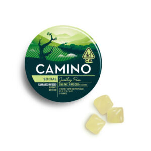 Camino | Gummy | 40mg | THC + CBD | Social